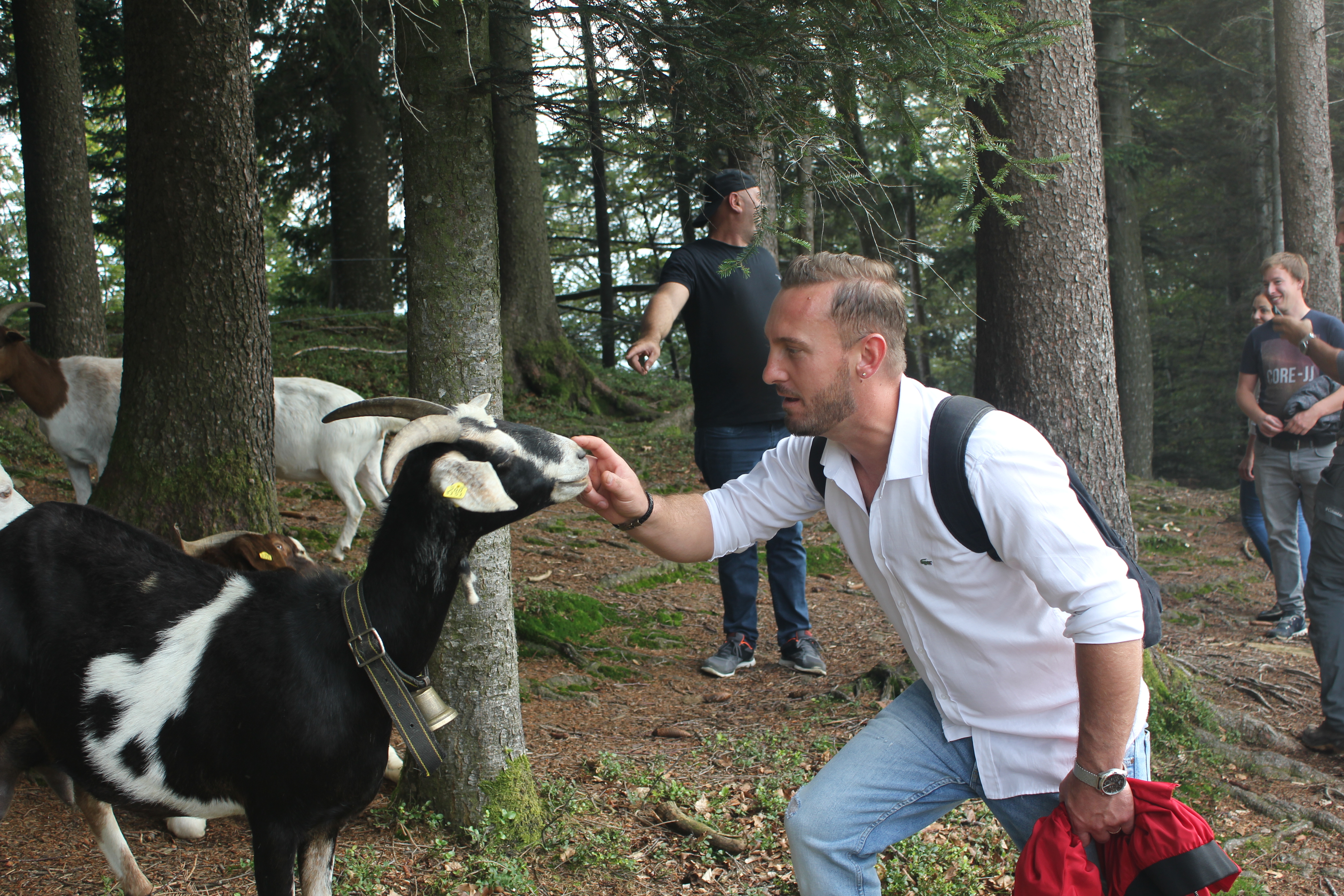 News Betriebsausflug Atzmännig