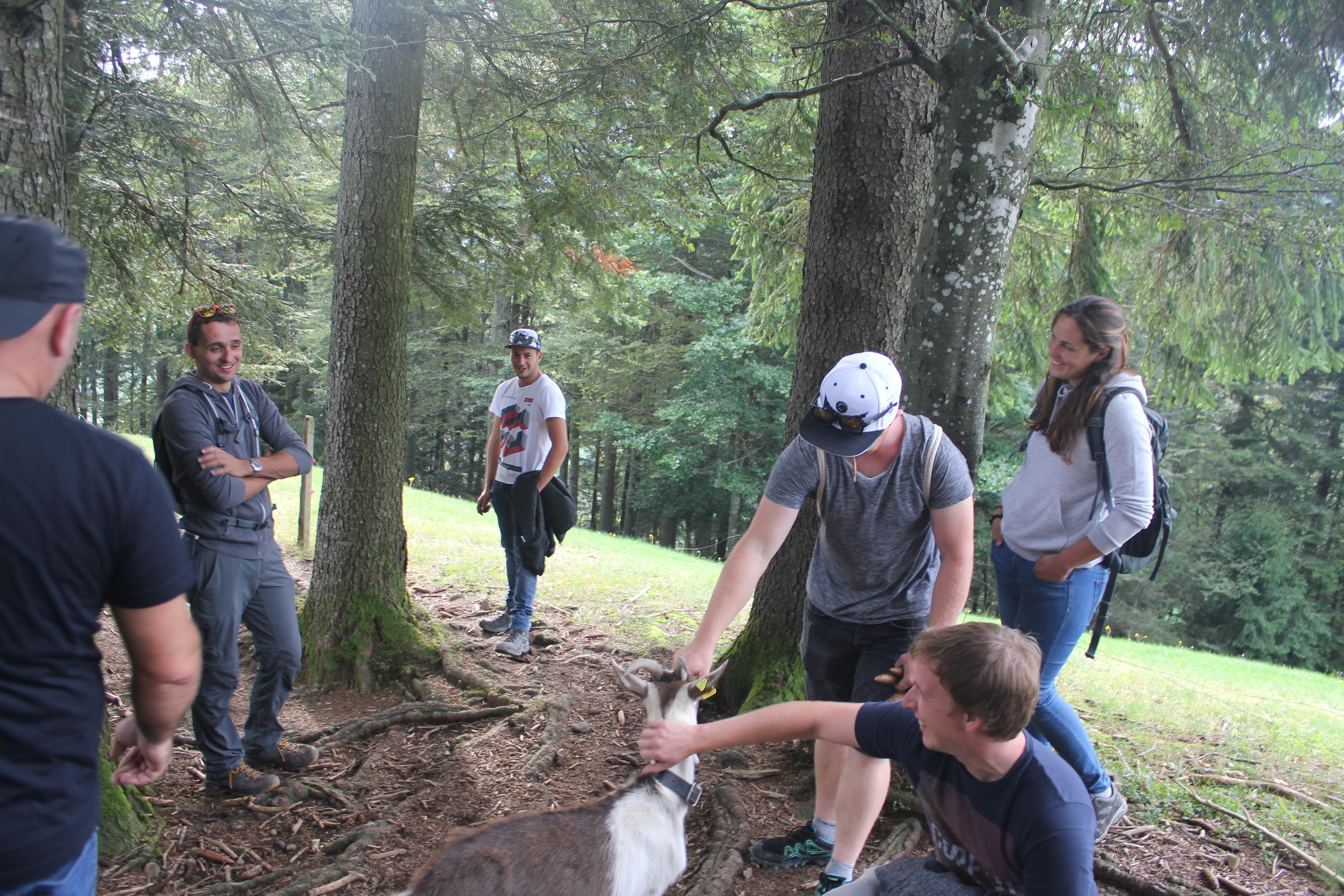 News Betriebsausflug Atzmännig