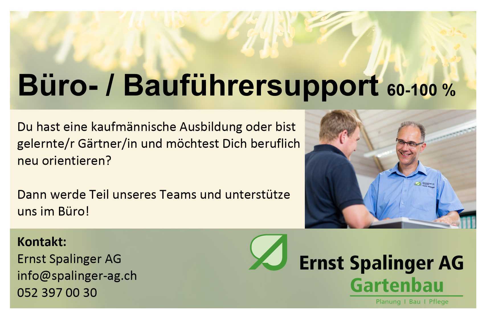 3 Stelleninserat v2025 v2026