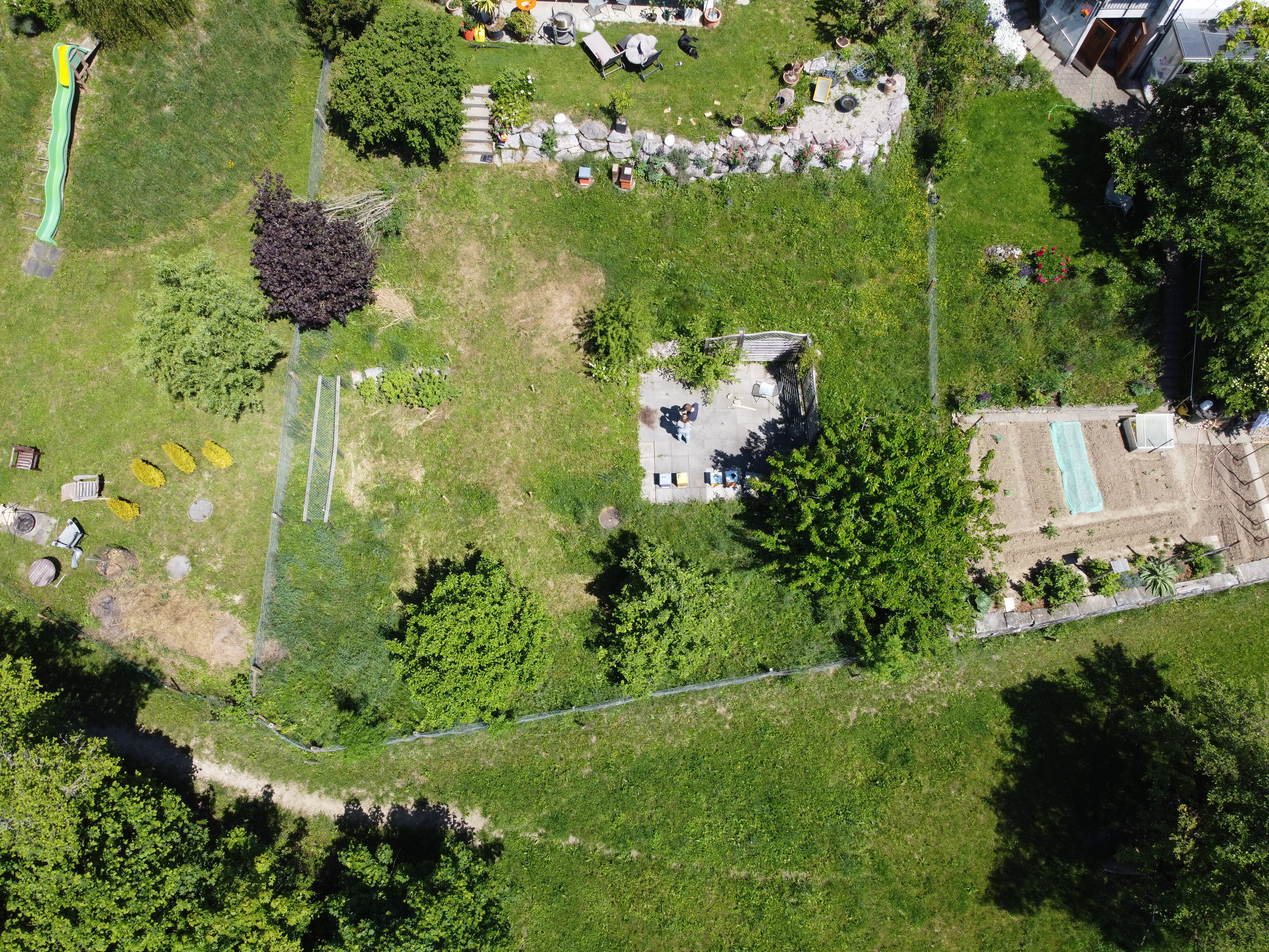 DJI 0052