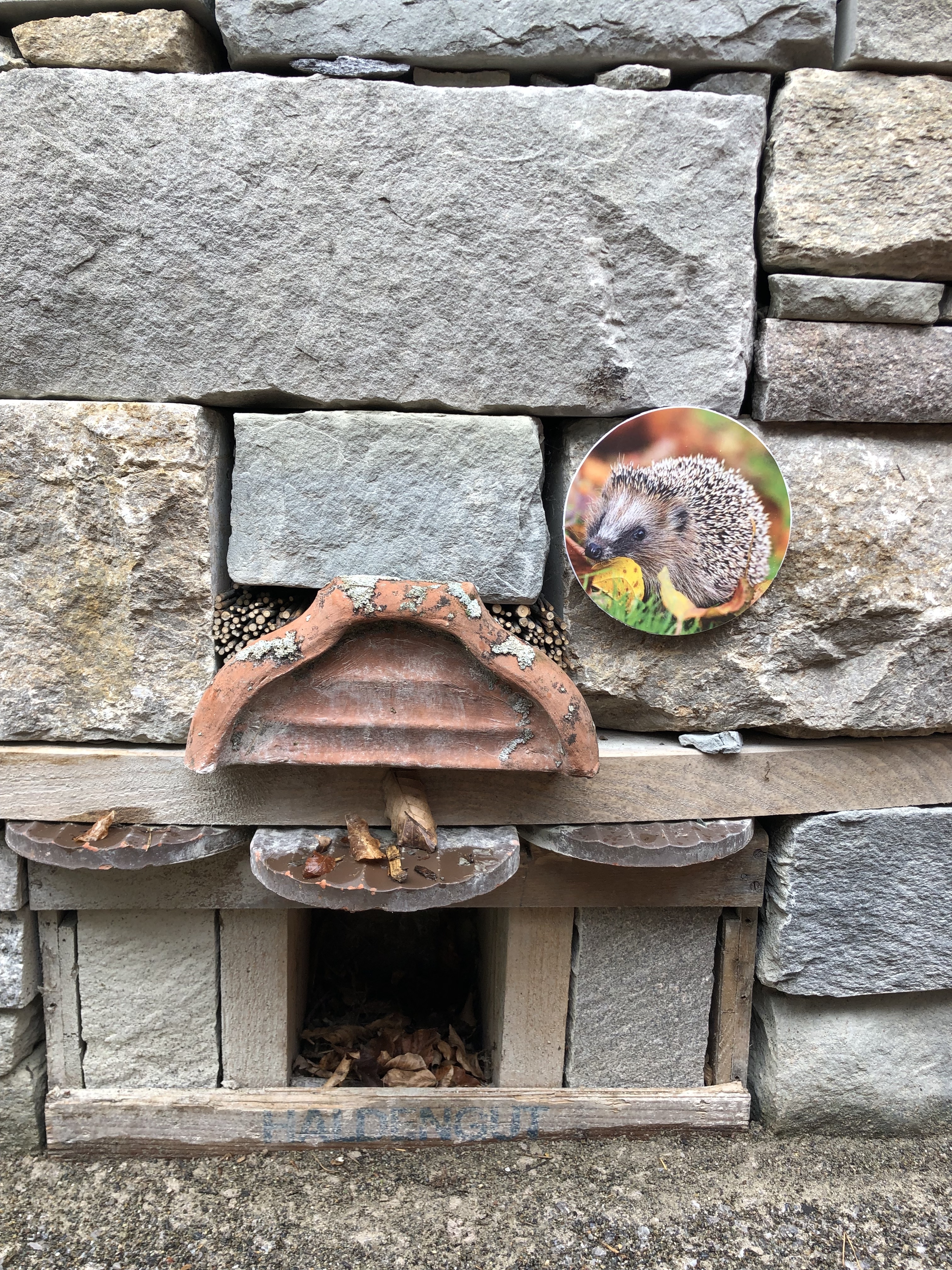 News Gartenvielfalt 18