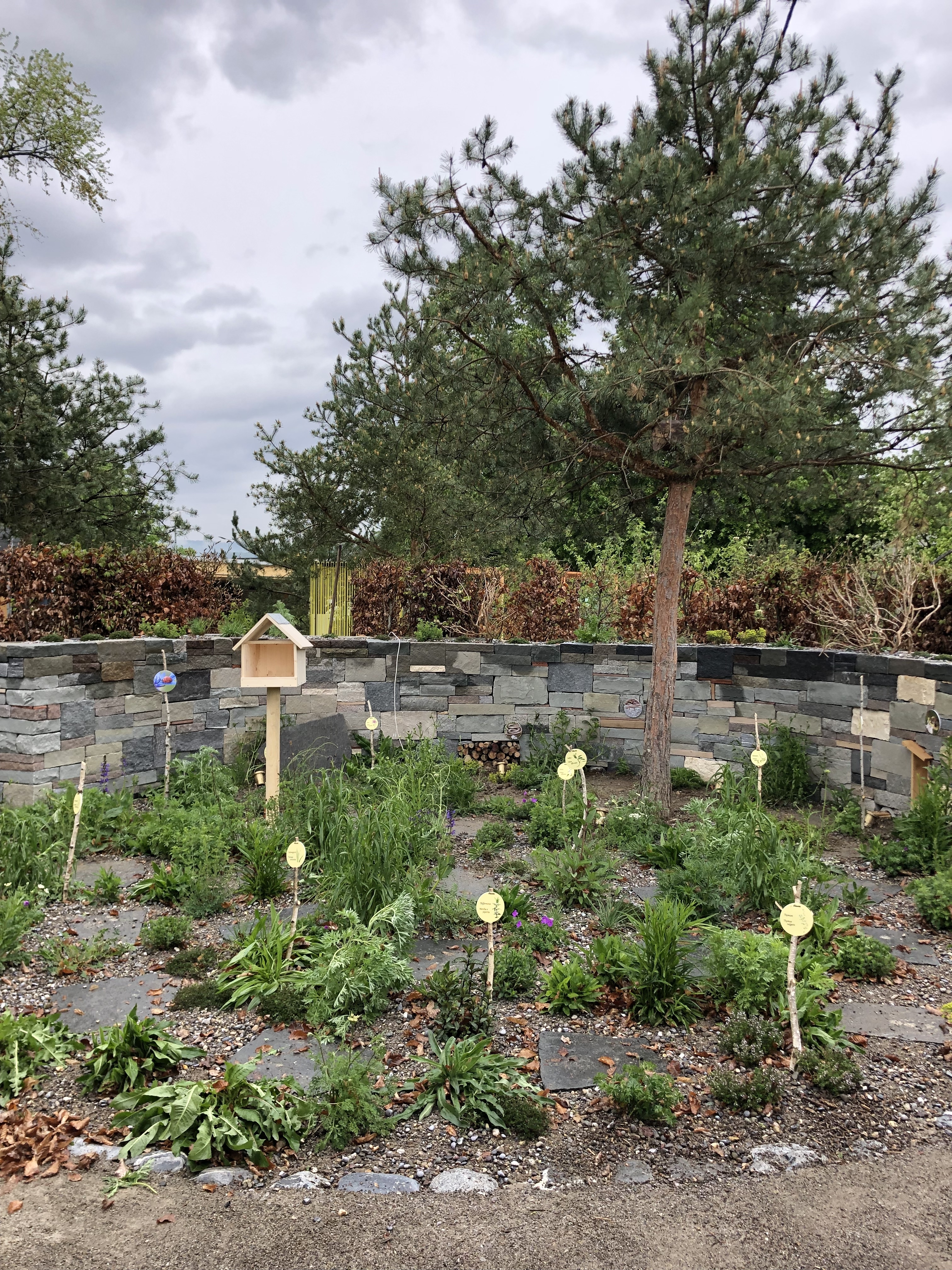 News Gartenvielfalt 26