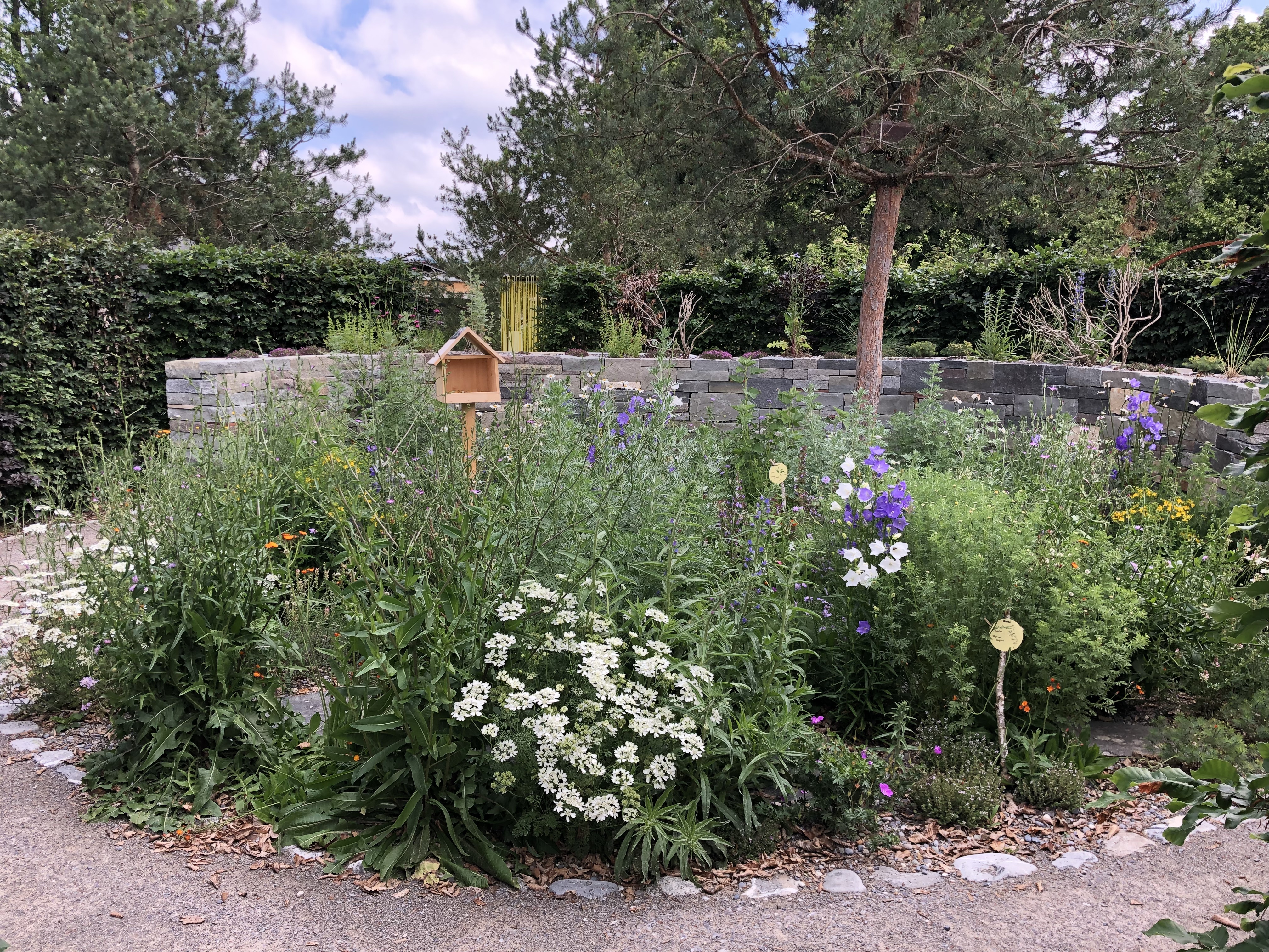 News Gartenvielfalt IMG 8173