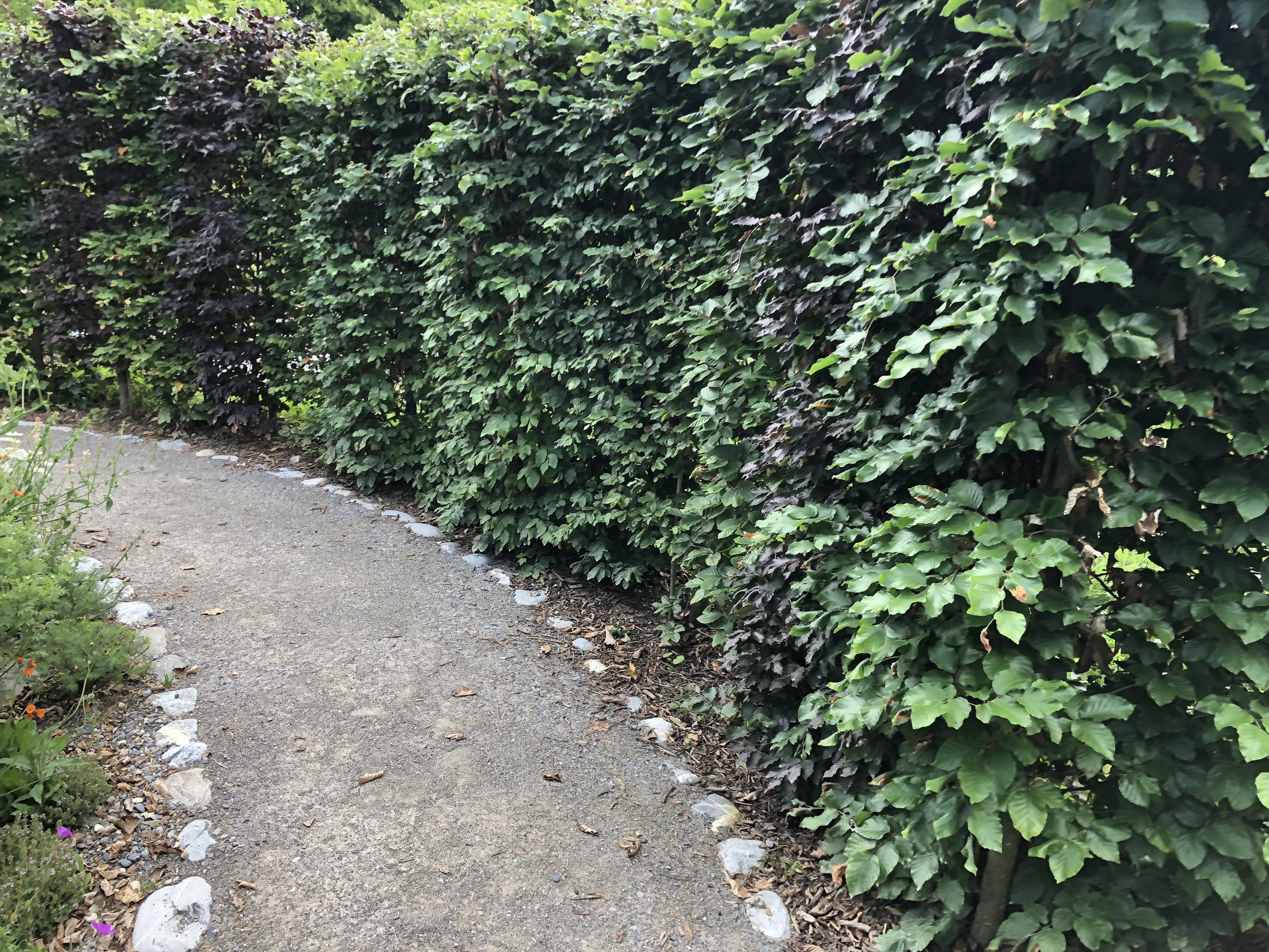 News Gartenvielfalt IMG 8179