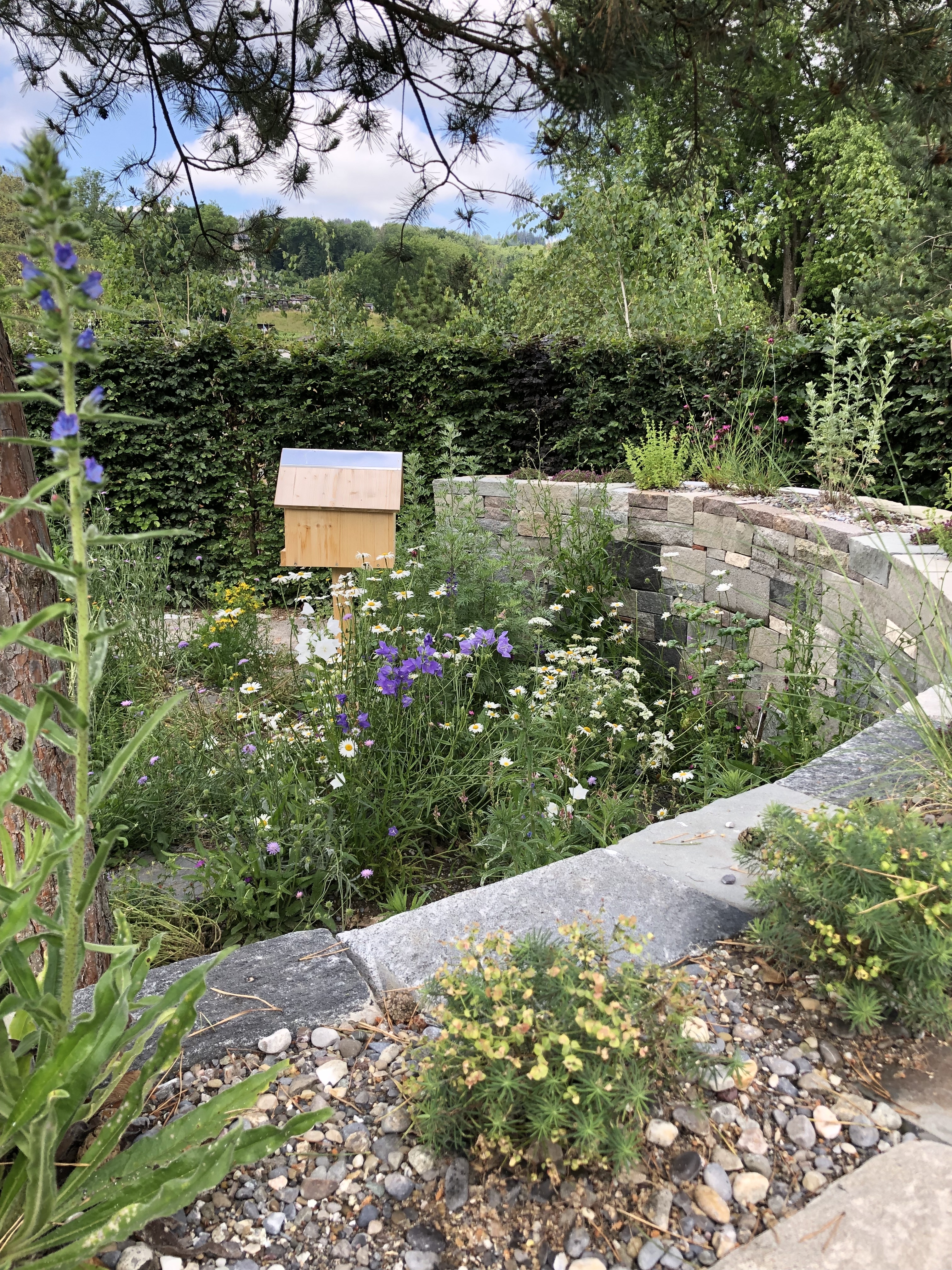 News Gartenvielfalt IMG 8180