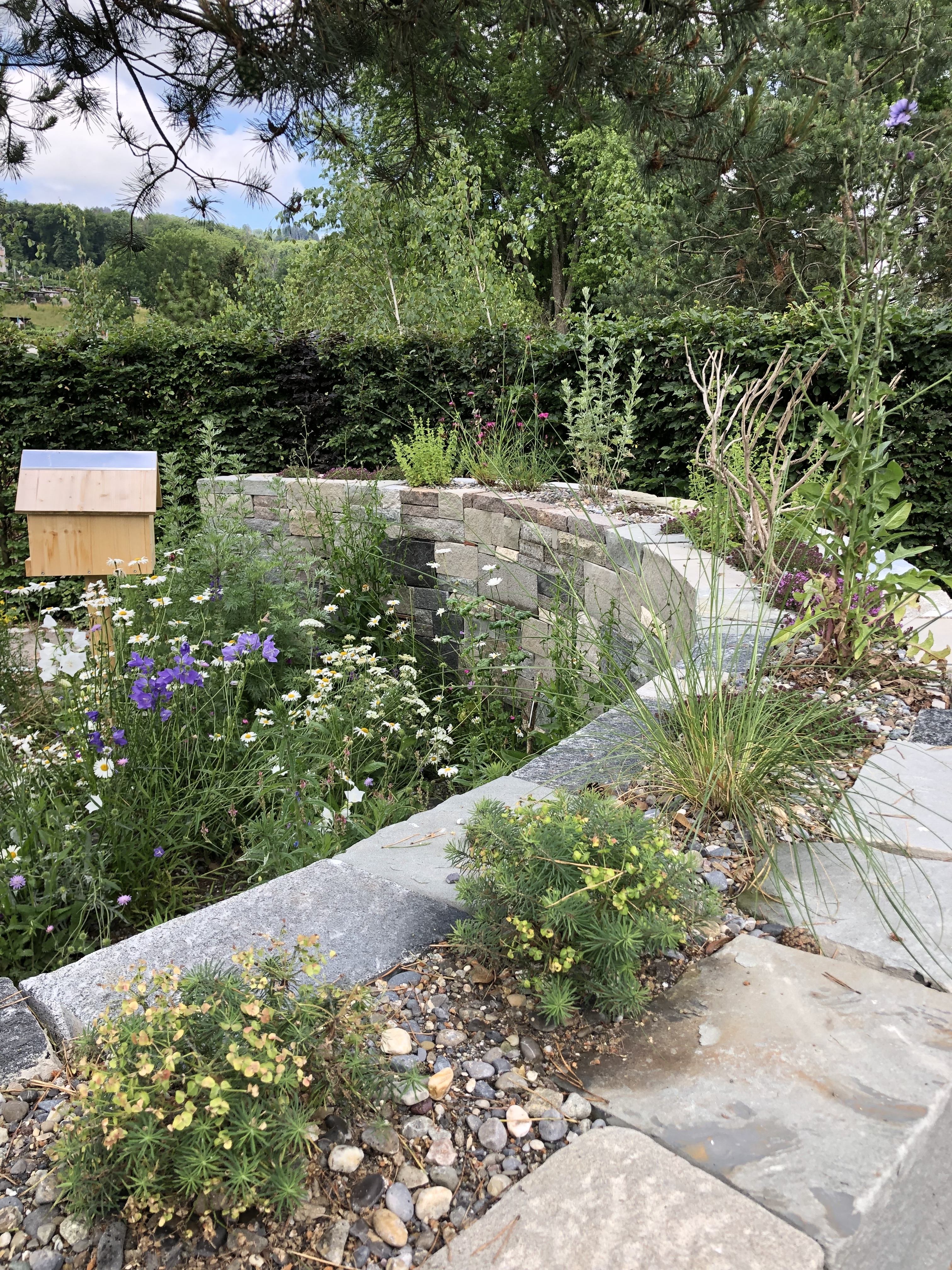 News Gartenvielfalt IMG 8181