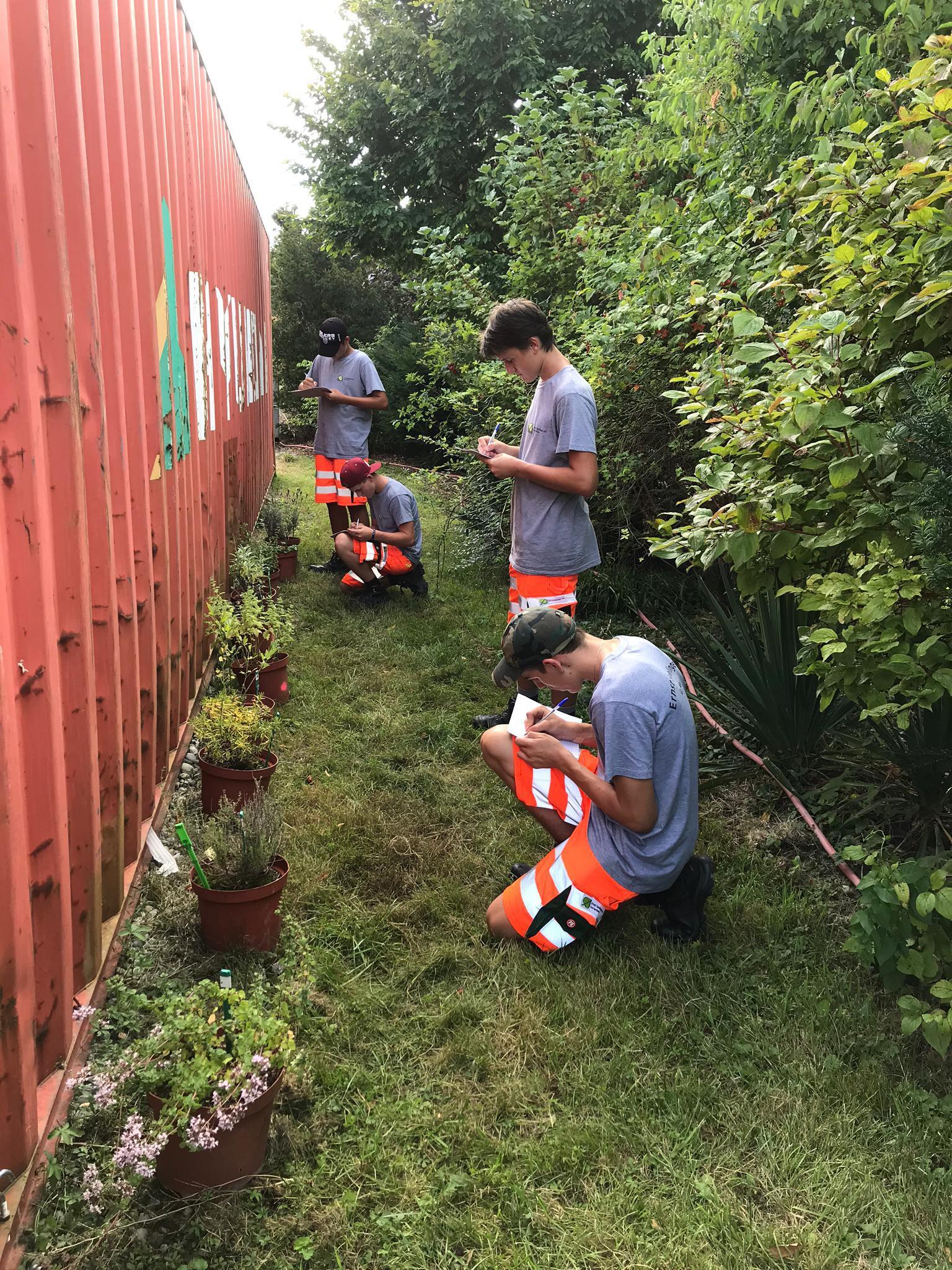 News Lehrlingseinführung 2020 1