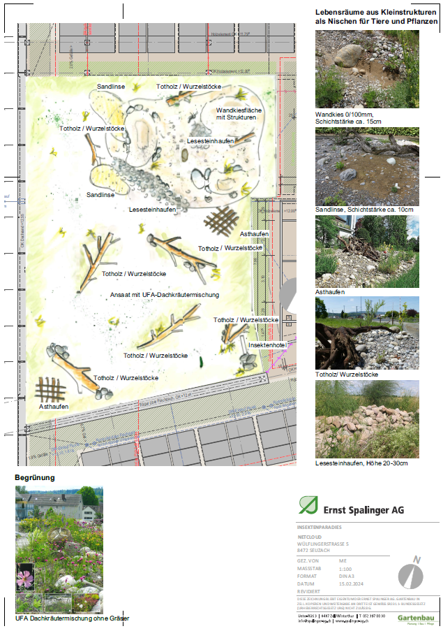Plan Insektenparadies
